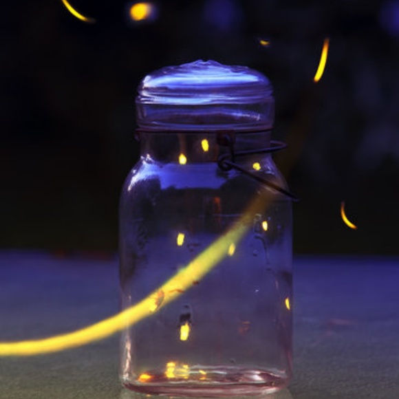 Meet your Posher, Marcee - Picture 1 of 1